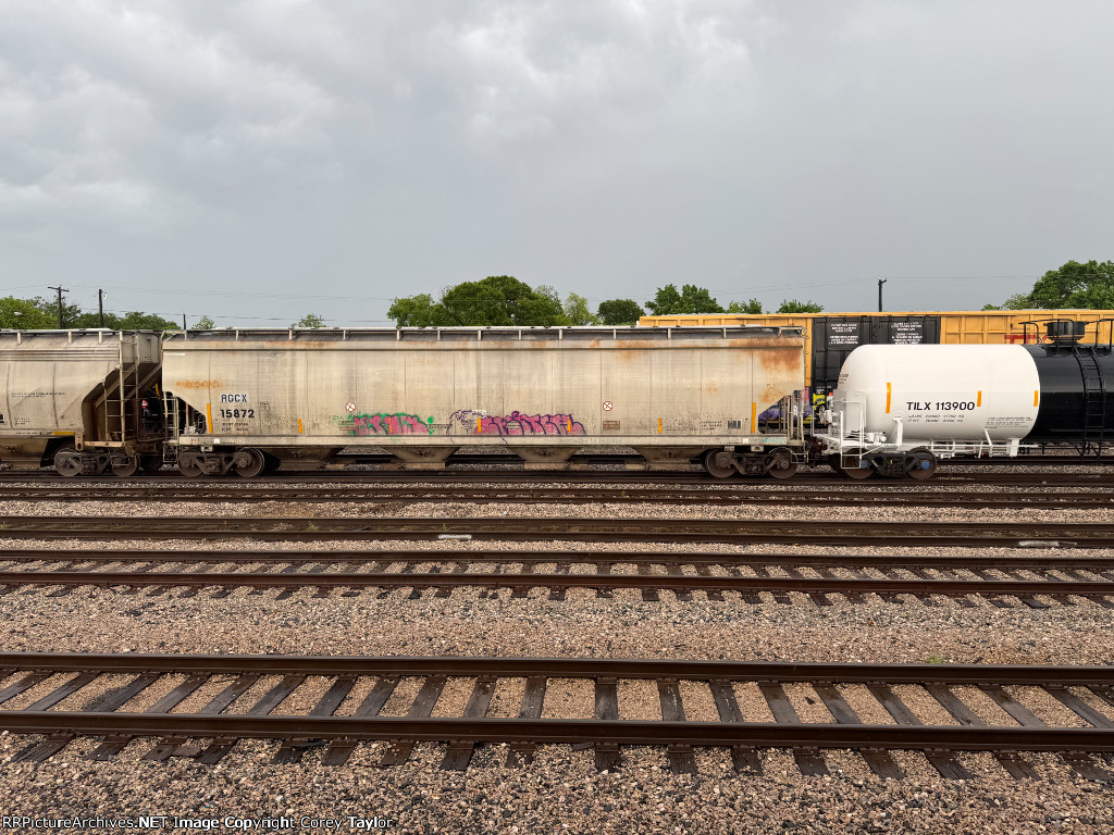 RGCX 15872